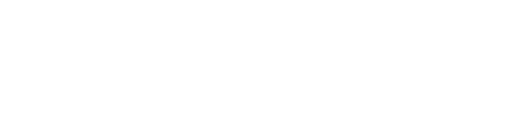 VOICE