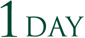 1 DAY